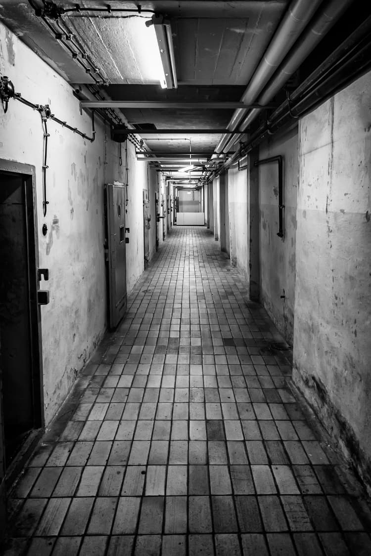 YOUR BUILDING HALLWAYS SHOULDN'T LOOK LIKE A HORROR MOVIE.